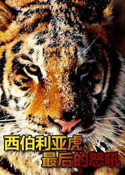 DiscoveryѰ:ǻŭ