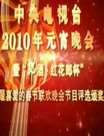̨2010Ԫ