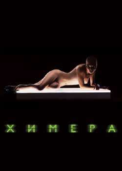 �����ӽ�