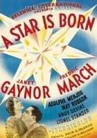 ���ǵĵ���