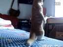 ��˵�ҿ�����ı�ˣ�