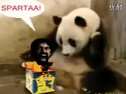 This is Sparta!!!! 4!!Ѹ
