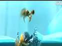D:\Ƶ\ʱ().3gp