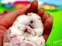 (��Ц)��С�һ������ȵ��޿ɾ�ҩ