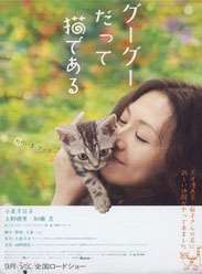 ������һֻè