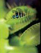 (寰宇地理)蛮荒杀手