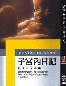 (寰宇地理)子宫内日记