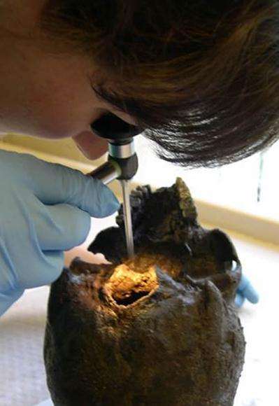 (寰宇地理)神奇大脑