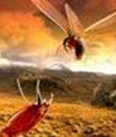 (寰宇地理)地狱来客