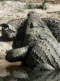 (寰宇地理)生存赢家