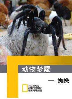 (寰宇地理)终极威力