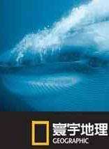 (寰宇地理)浩劫现场