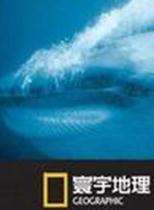 (寰宇地理)城市玩家