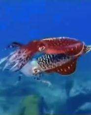 (寰宇地理)人间伊甸园