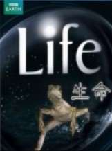 (BBC自然探秘)生命