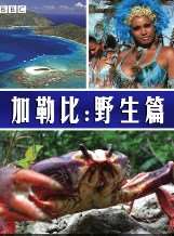 (BBC自然探秘)加勒比:野生篇