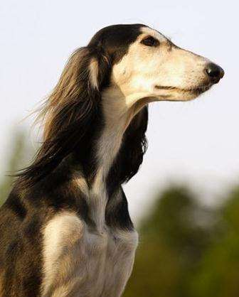 (寰宇地理)非洲生态之旅