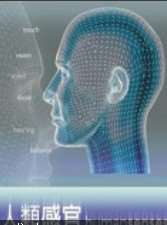 (BBC科技神奇)人类感官