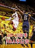 NBA季后赛 2012-2013