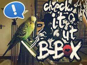 ǿ������B-box����ɧ