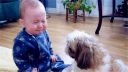 ЦCry!���ڵĶ����۸�����