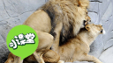 �ٽڲ�!10�ֶ��ＫƷX����