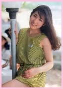 树麻里子种子