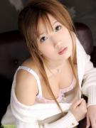 向井千里种子