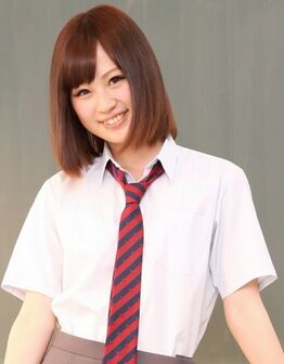 麻衣花夏种子