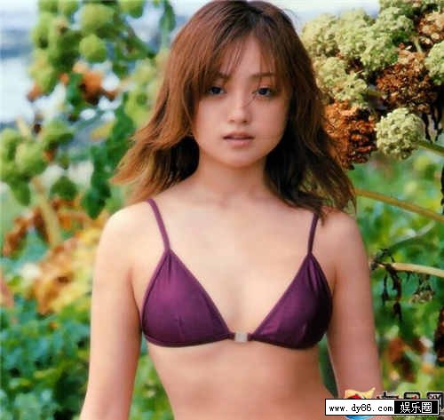 安达佑实种子