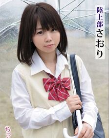 仓科纱央莉种子
