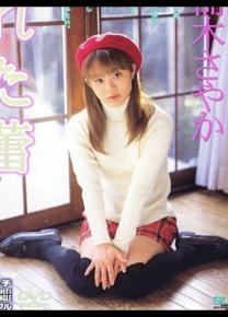 楠木莎也加种子