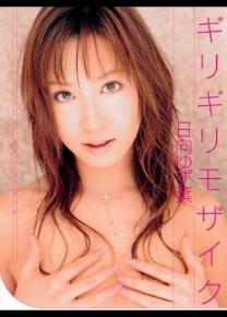 日向柚子叶种子