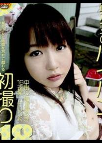 辻艾莉丝种子