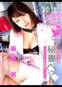 藤崎枫种子