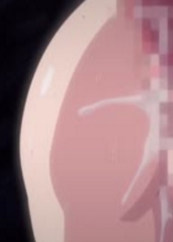 (AniMan) ʴ -Х߶Ů- Anime Editi