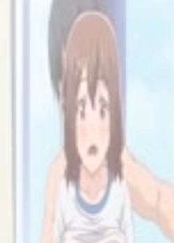 ٥ THE ANIMATION