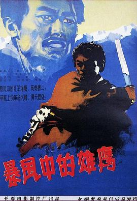 暴风中的雄鹰迅雷下载