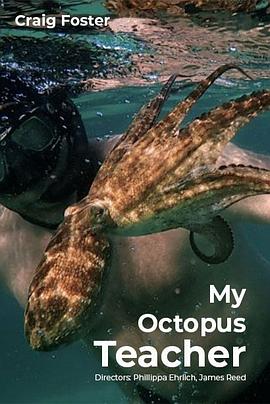 �ҵ�������ʦ