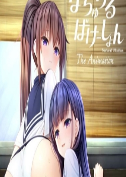 ʤФ` THE ANIMATION(