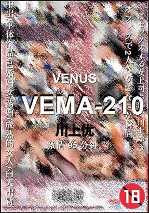 VEMA-210