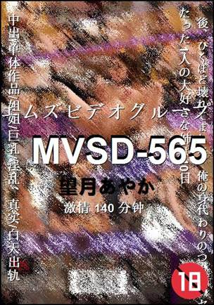 MVSD-565种子
