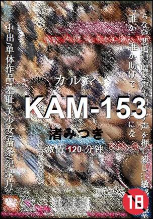 KAM-153种子