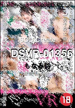 DSVR-01356