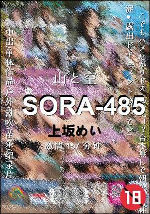 SORA-485