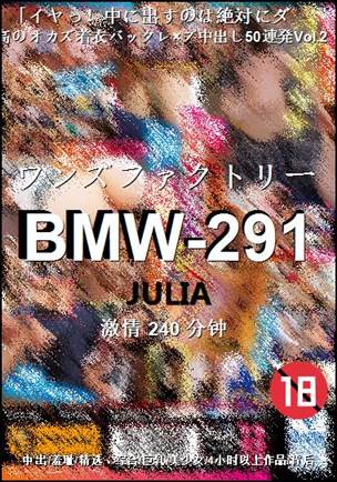 BMW-291种子