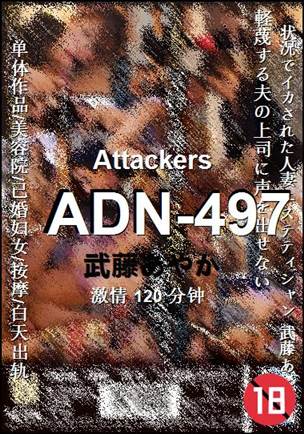 ADN-497种子