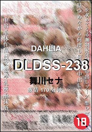 DLDSS-238