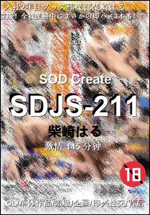 SDJS-211