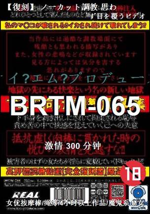 BRTM-065����